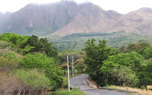 Ranch: 60 ha Mountain Property in Cermeño