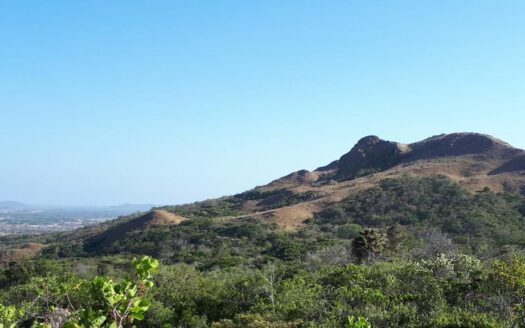 Ranch: 60 ha Mountain Property in Cermeño