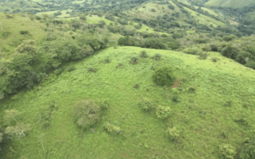 Farm: 18 ha Forest- and Agri-Land