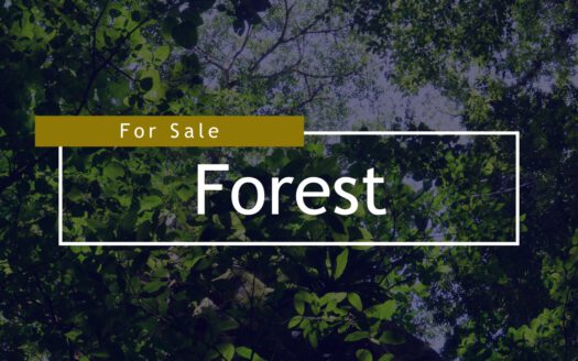 Forest and Agriculture Opportunities