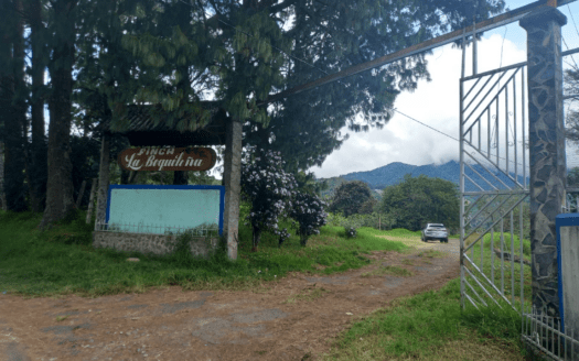 Coffee Farm: 25 ha in Boquete