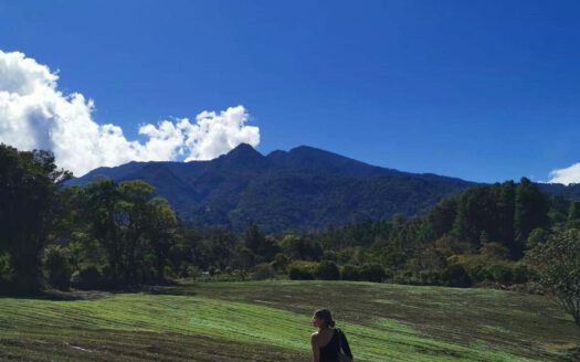 Coffee Farm: 25 ha in Boquete