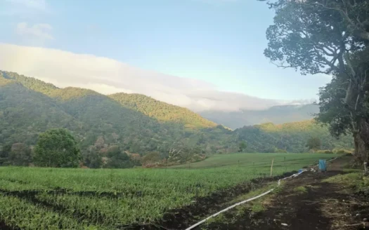 Coffee Farm: 25 ha in Boquete