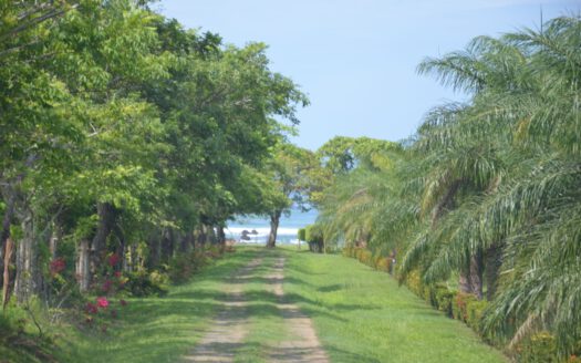 Exclusive: 200 ha Hacienda in Pedasí, Panama